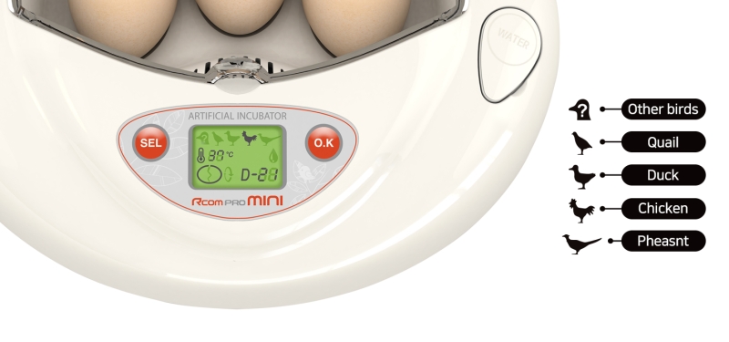 Rcom Pro PX03 Compact Bird Egg Incubator Hatcher - Streamlined Hatching for Educators & Enthusiasts
