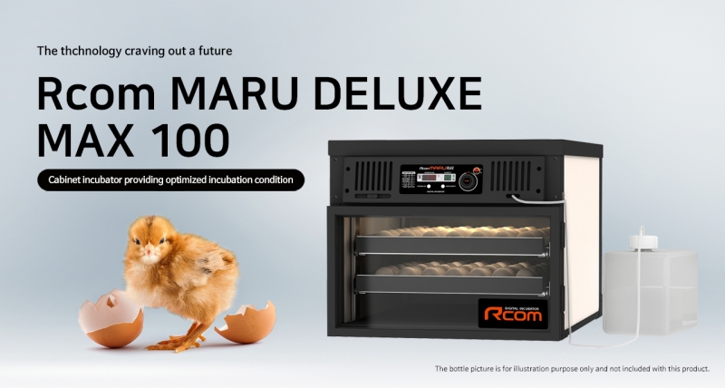 Rcom Maru MX100SD Deluxe Bird Egg Incubator Hatcher: Digital Precision for High-Volume Hatching with universal egg trays